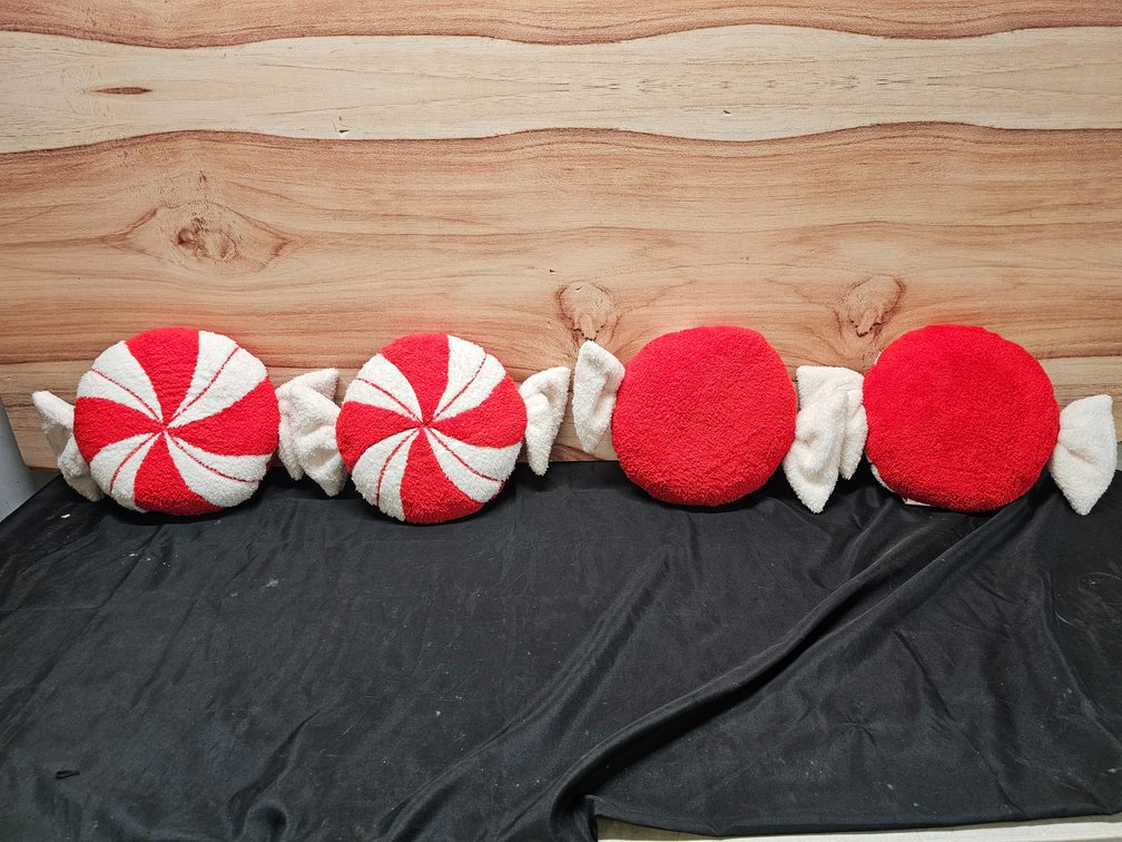 (4) 22in x 13in Wondershop Toss Pillow