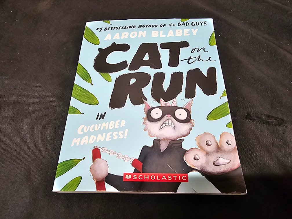 Cat On The Run By Aaron Blabey 