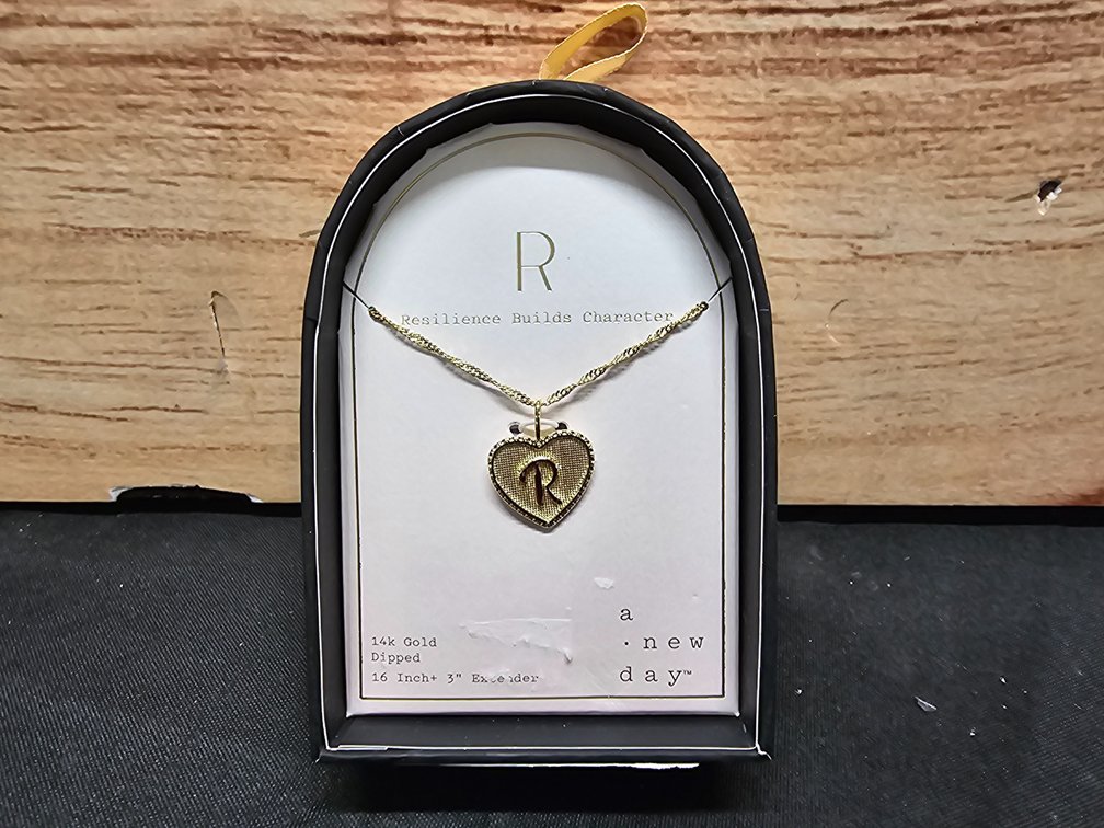 14k Gold Dipped 16in + 3in Extender Necklace 