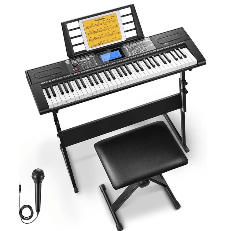 Donner 61 Key Keyboard Piano, Electric Piano Keyboard Kit with 249 Voices, 249 Rhythms - Includes Piano Stand, Stool, Microphone, Gift for Beginners, Black (DEK-610S)