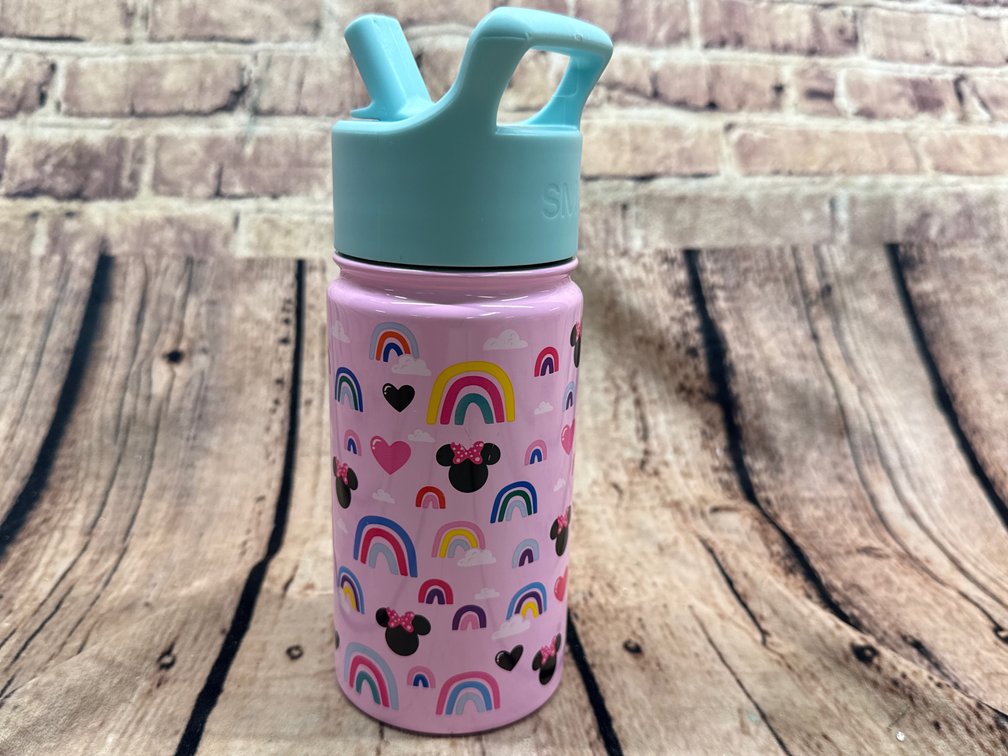 Disney Mini Mouse 14oz metal tumbler with straw 