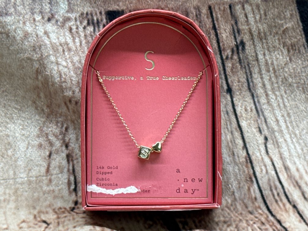 14k gold dipped letter “S” neckalce 
