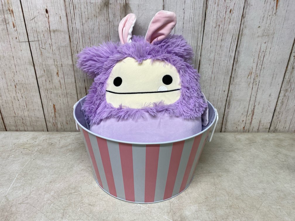 Metal Ice Bucket + Dilka Squishmallow