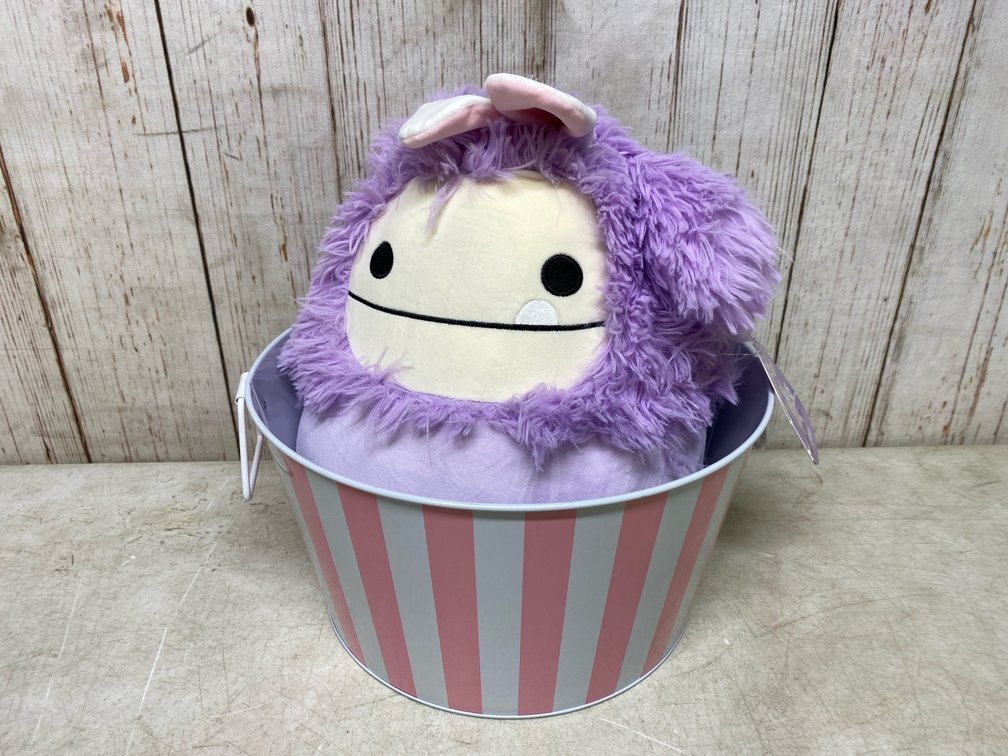 Metal Ice Bucket + Dilka Squishmallow