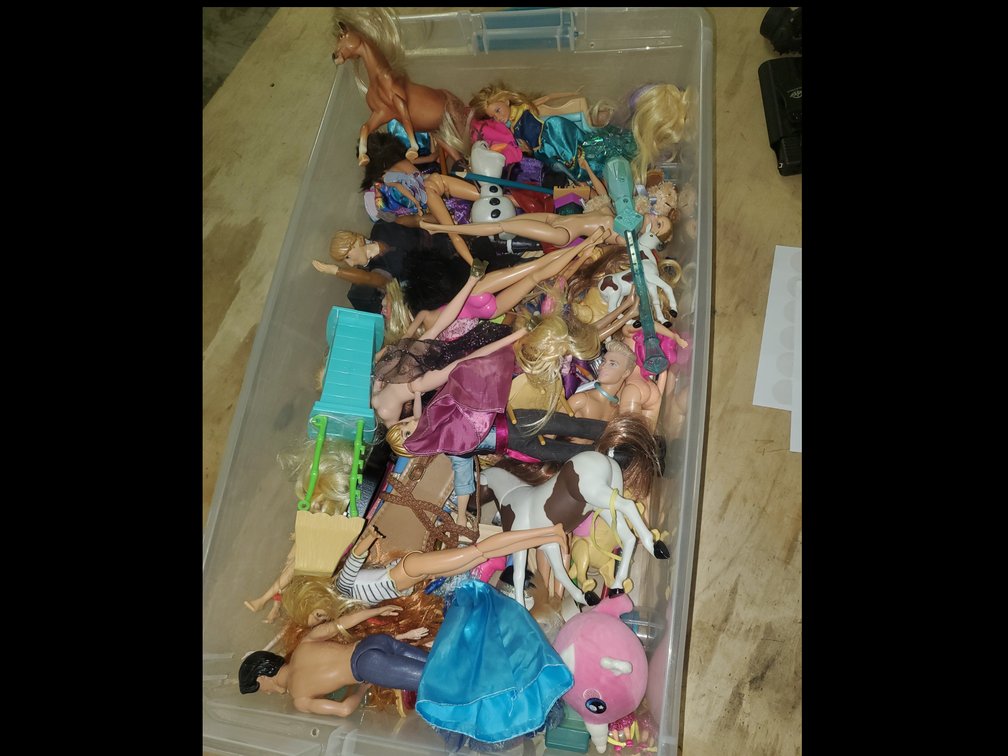 Large lot of Barbies in rolling tote