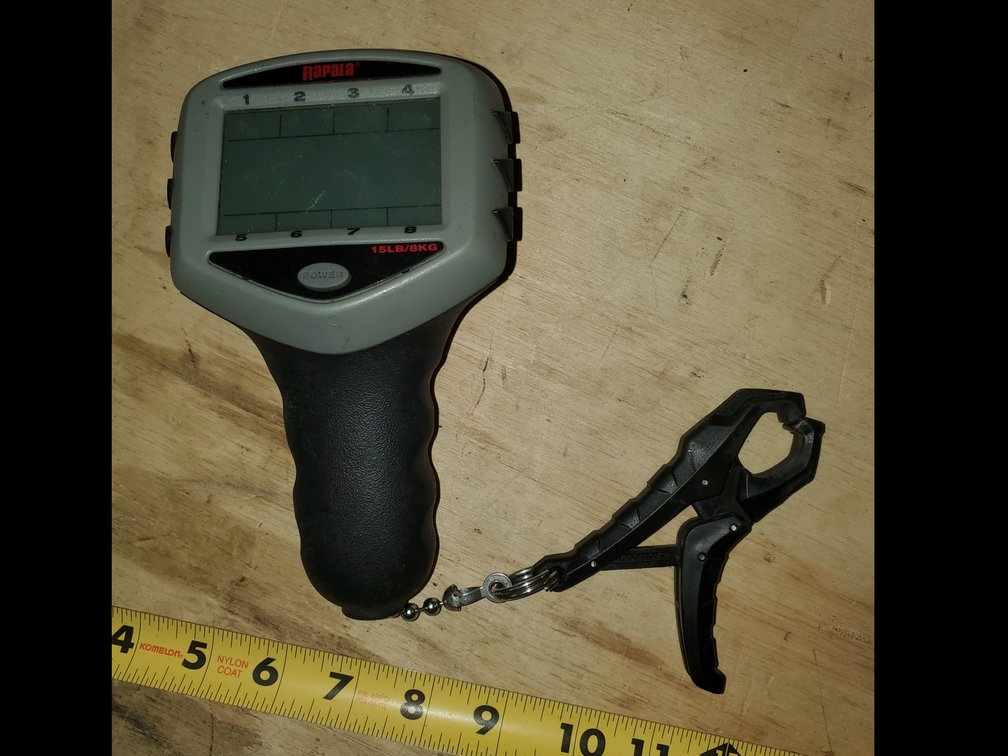 Rapala cull scale