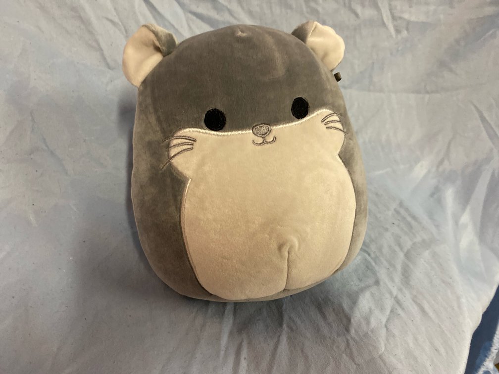 8” Camilo the Chinchilla Squishmallow