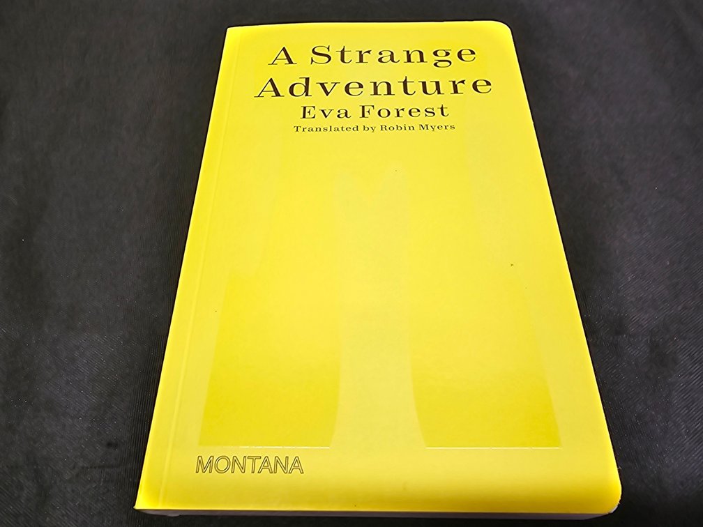 A Strange Adventure Eva Forest 