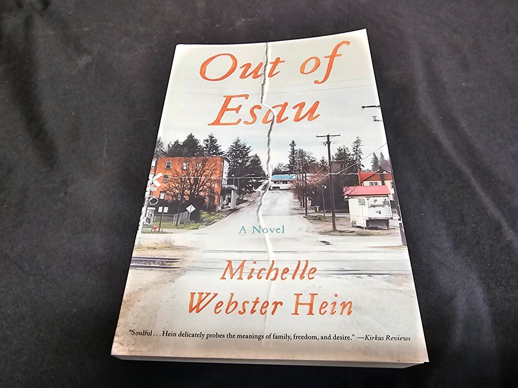 Out Of Esau Michelle Webster Hein
