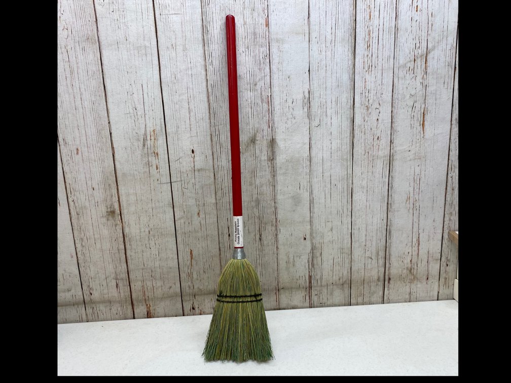 Small Whisk Broom