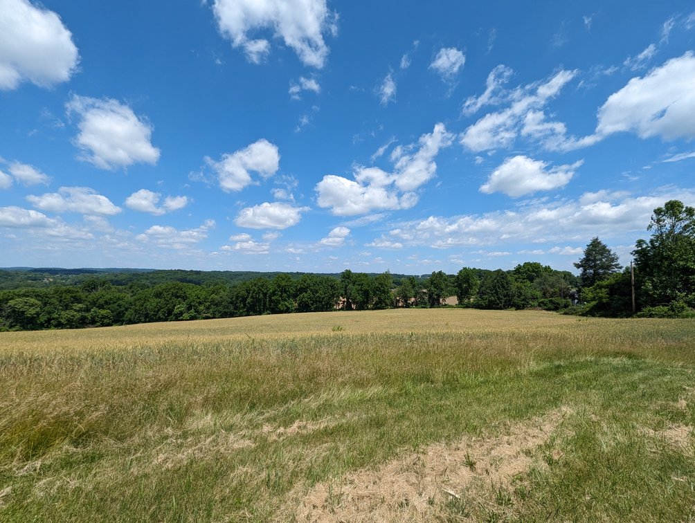 Image for 20.185 +/- ACRES/ 2 RESIDENCES/ 2 BLDG RIGHTS 2 LG GARAGE/ STORAGE STRUCTURES W/ ELECTRIC ON PROPERTY (SDAT # 03-059030)