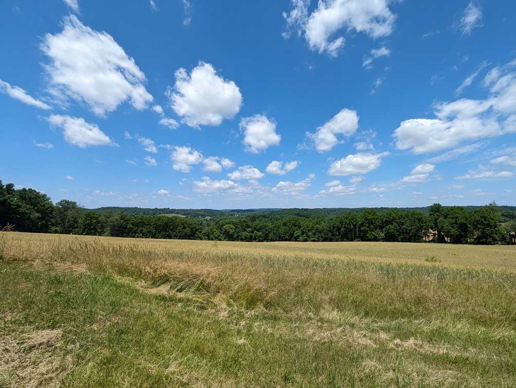 Image for 20.185 +/- ACRES/ 2 RESIDENCES/ 2 BLDG RIGHTS 2 LG GARAGE/ STORAGE STRUCTURES W/ ELECTRIC ON PROPERTY (SDAT # 03-059030)