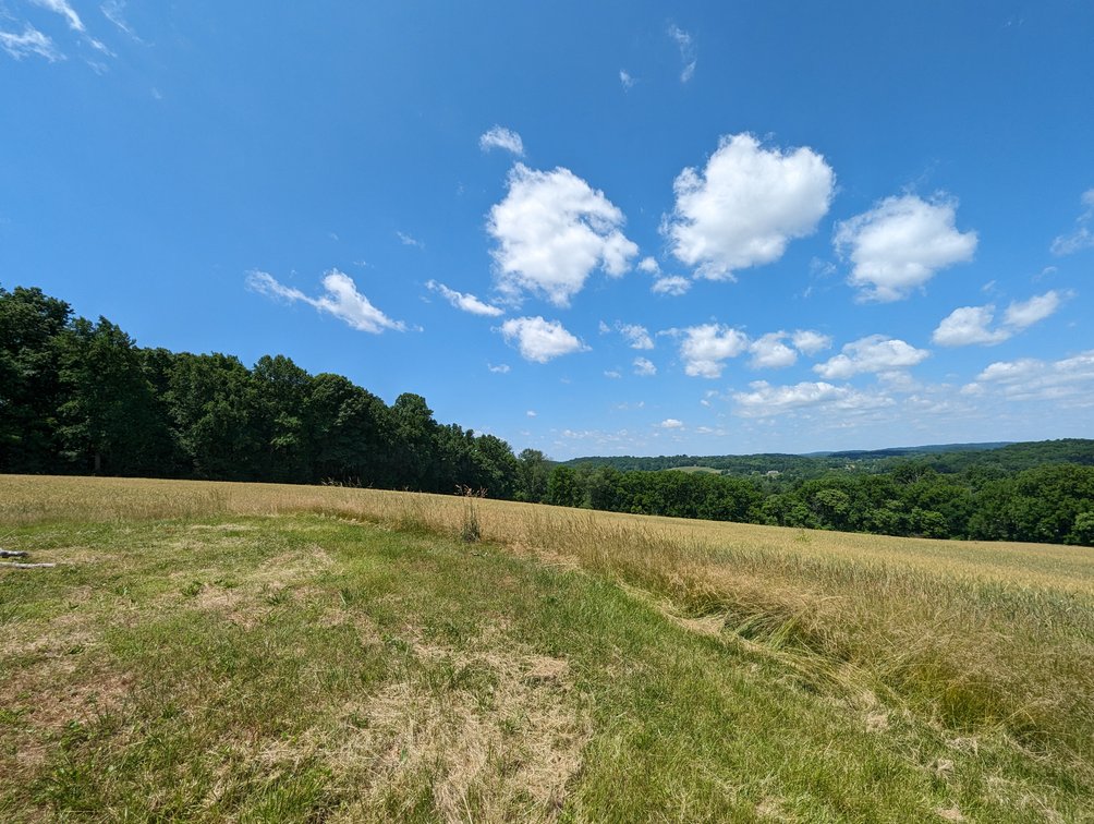 Image for 20.185 +/- ACRES/ 2 RESIDENCES/ 2 BLDG RIGHTS 2 LG GARAGE/ STORAGE STRUCTURES W/ ELECTRIC ON PROPERTY (SDAT # 03-059030)