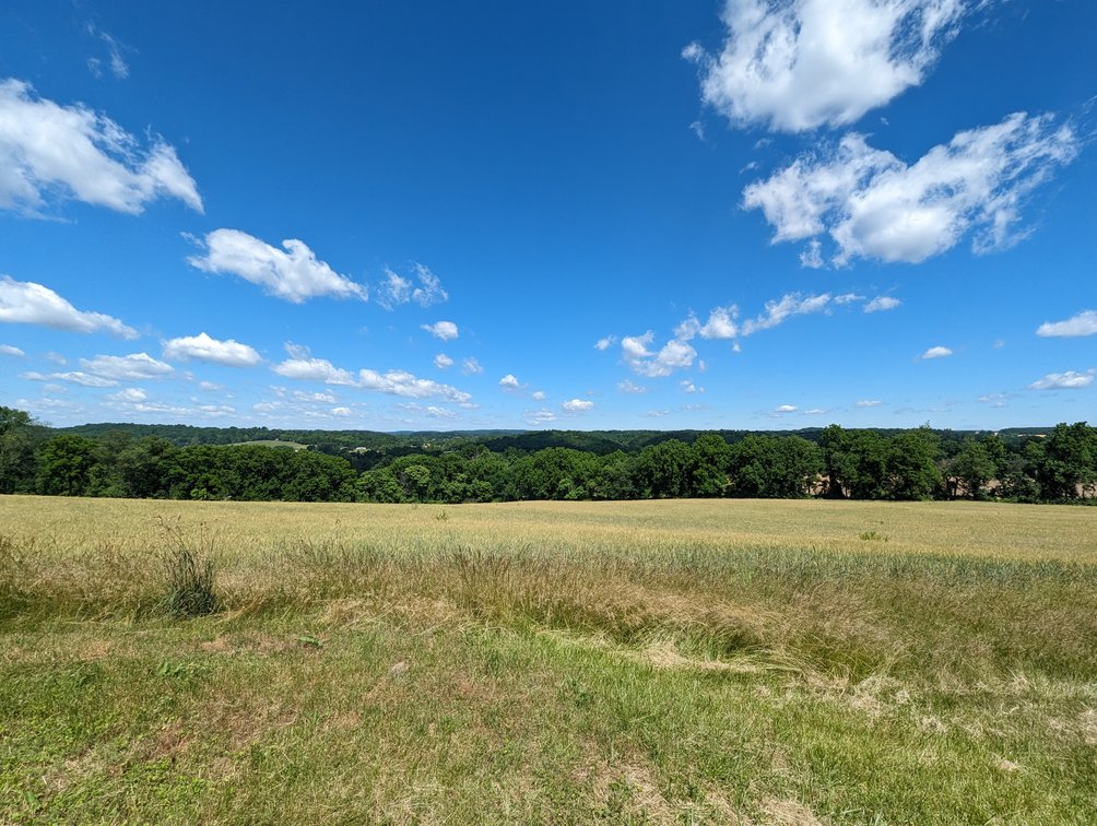 Image for 20.185 +/- ACRES/ 2 RESIDENCES/ 2 BLDG RIGHTS 2 LG GARAGE/ STORAGE STRUCTURES W/ ELECTRIC ON PROPERTY (SDAT # 03-059030)