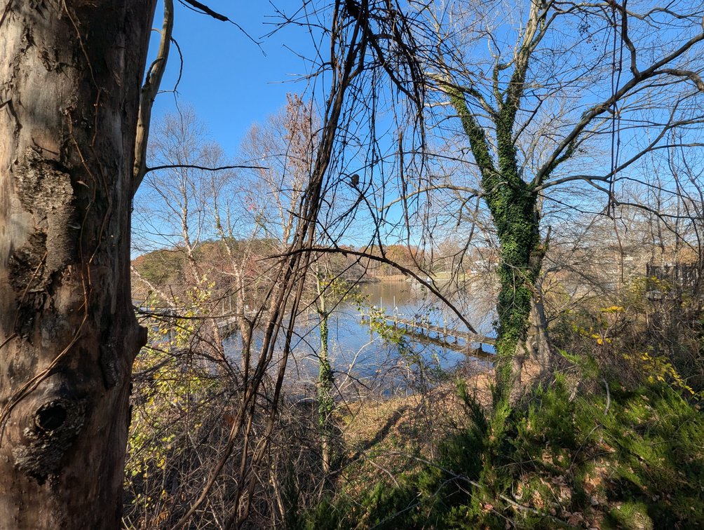 Image for 2 BEDROOM, 2 BATH WATERFRONT HOME/ 125 +/- WATERFRONT ON STONEY CREEK W/ 96' +/- PIER/ 2 PARCELS SOLD IN THE ENTIRETY