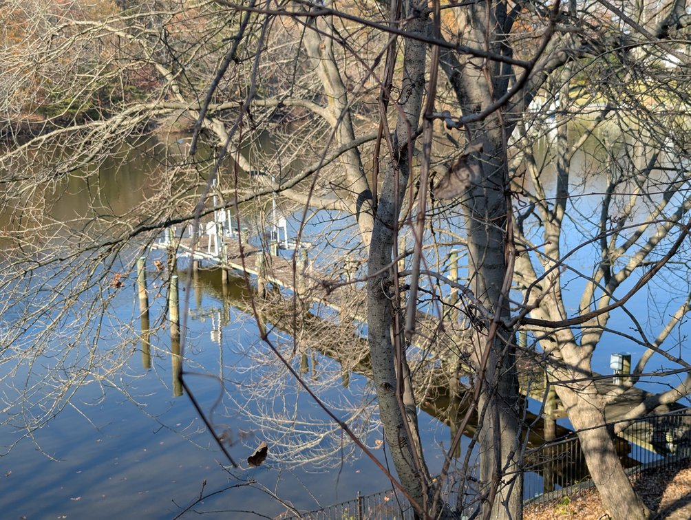 Image for 2 BEDROOM, 2 BATH WATERFRONT HOME/ 125 +/- WATERFRONT ON STONEY CREEK W/ 96' +/- PIER/ 2 PARCELS SOLD IN THE ENTIRETY