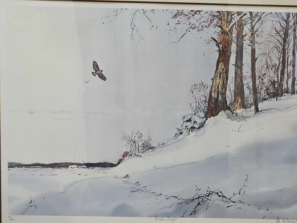 Image for Shannon Park Moving Sale