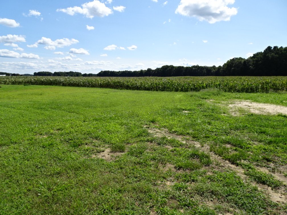 Image for Oct 5, 2024 ESTATE AUCTION - REAL ESTATE