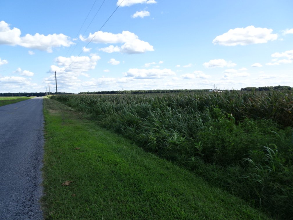 Image for Oct 5, 2024 ESTATE AUCTION - REAL ESTATE