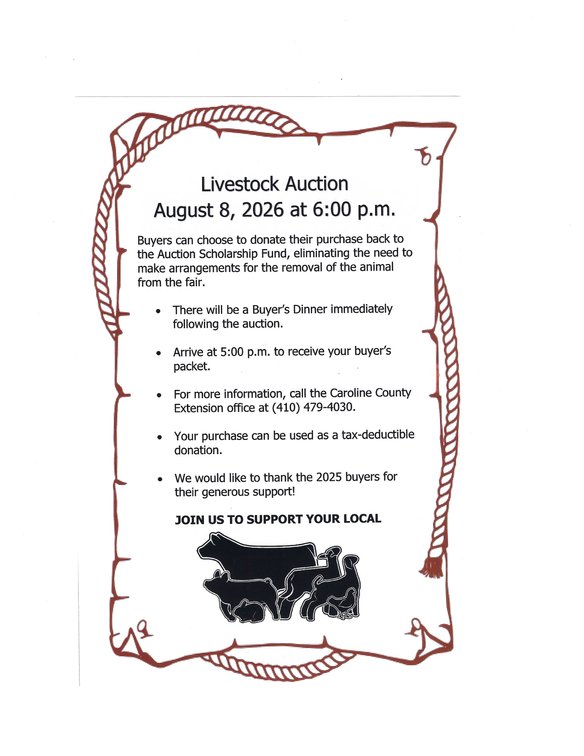 Image for 4-H / FFA Livestock Auction - Caroline / Dorchester Fair
