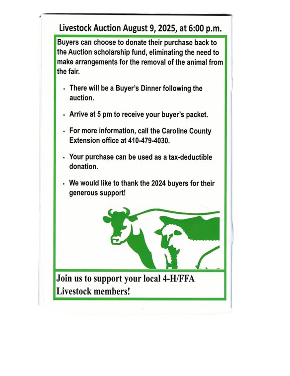 Image for 4-H / FFA Livestock Auction - Caroline Dorchester Fair