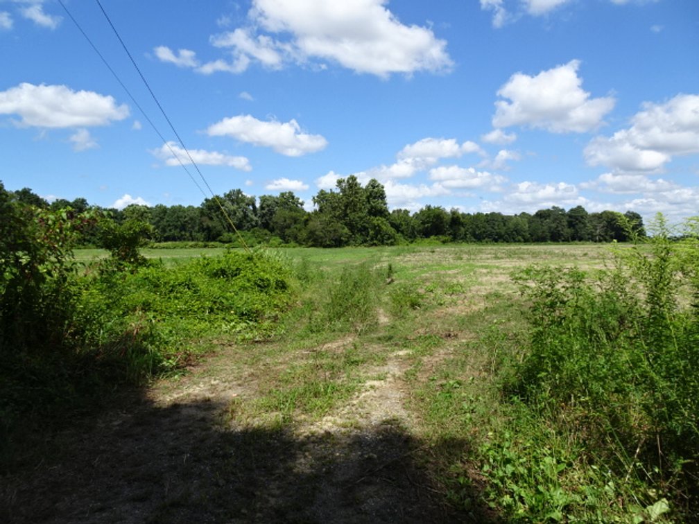 Image for Estate Auction - Real Estate Public Auction
