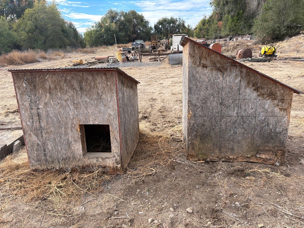 double wall dog houses