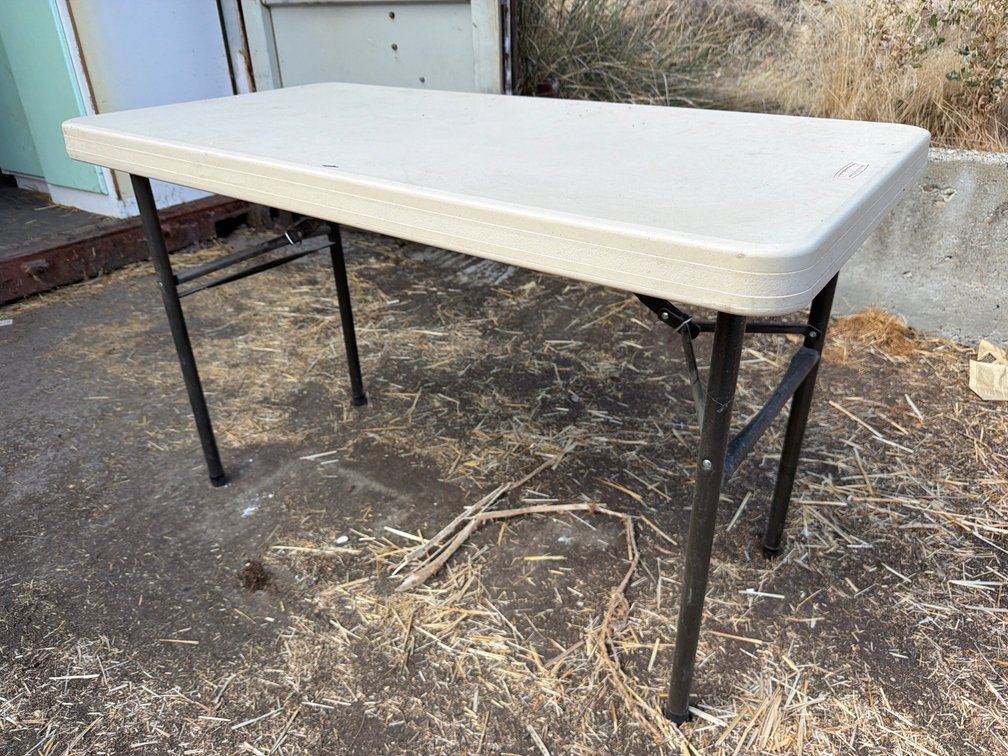 Lifetime 4'x2' foldup table