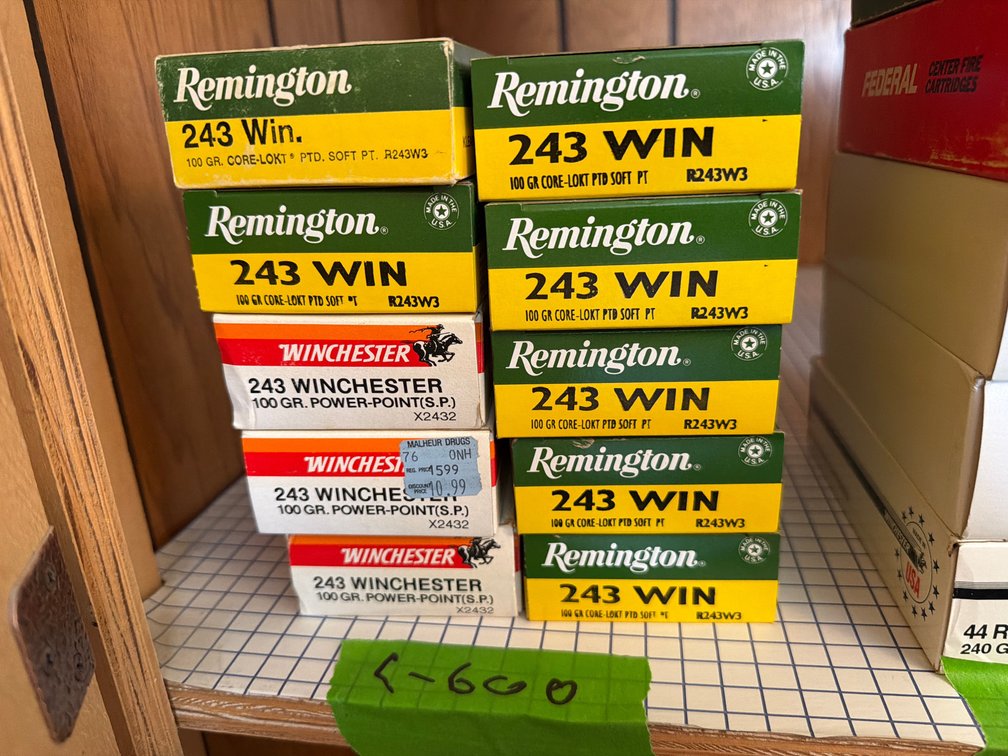 10 boxes 243 ammo