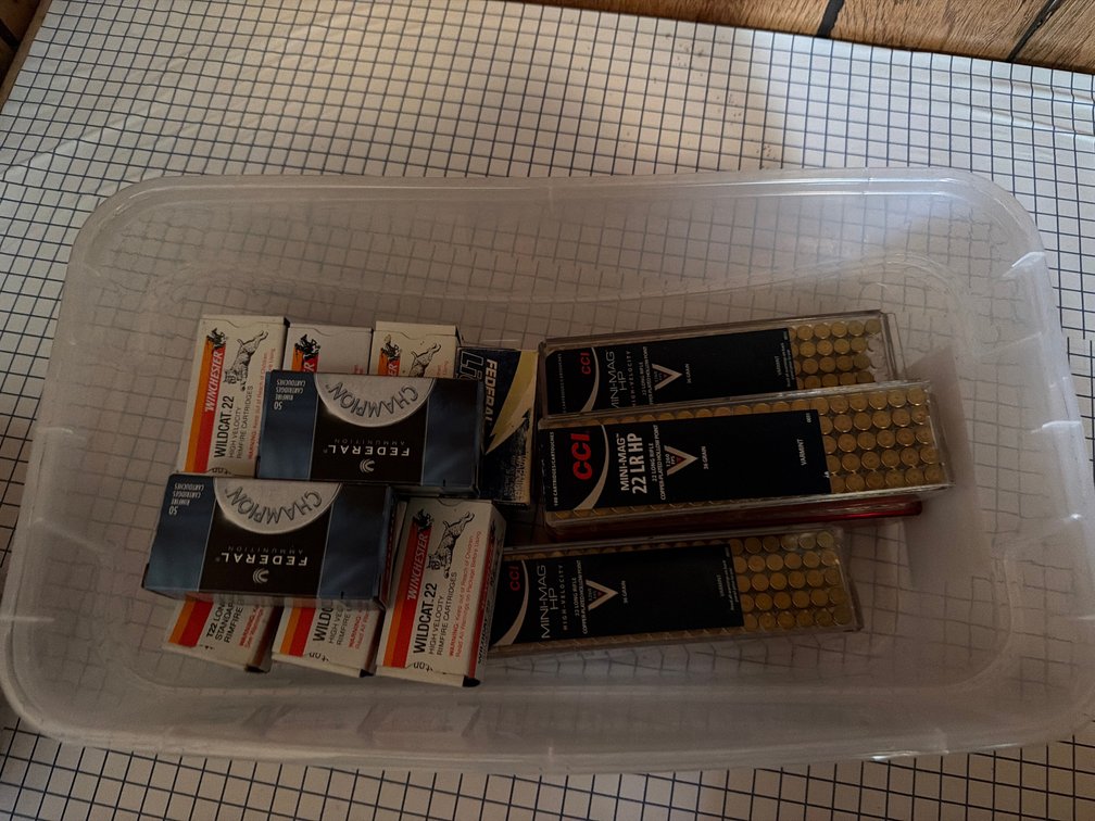 20 boxes 22 LR ammo