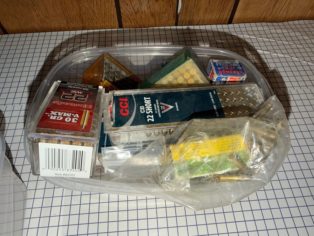 assorted 22 LR and mag ammo