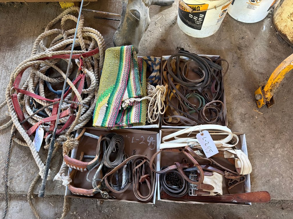 stirrups, steer head, cotton rope, blankets, tack