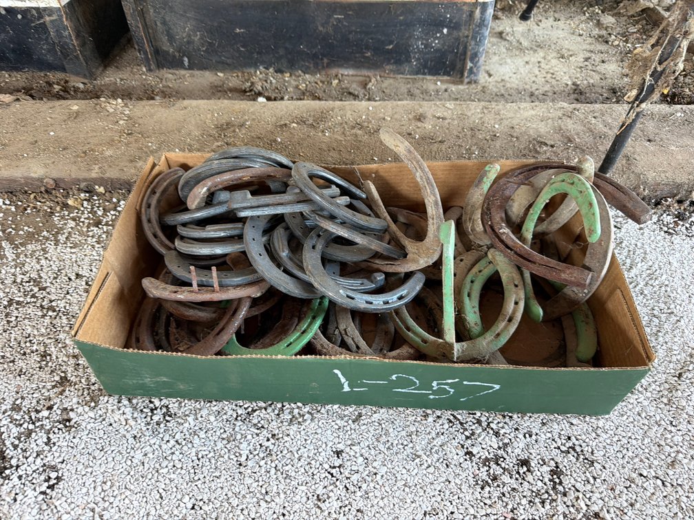 horse shoe hangers and shoes