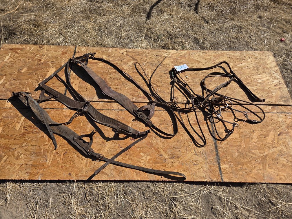 head stalls bridles, breast collars
