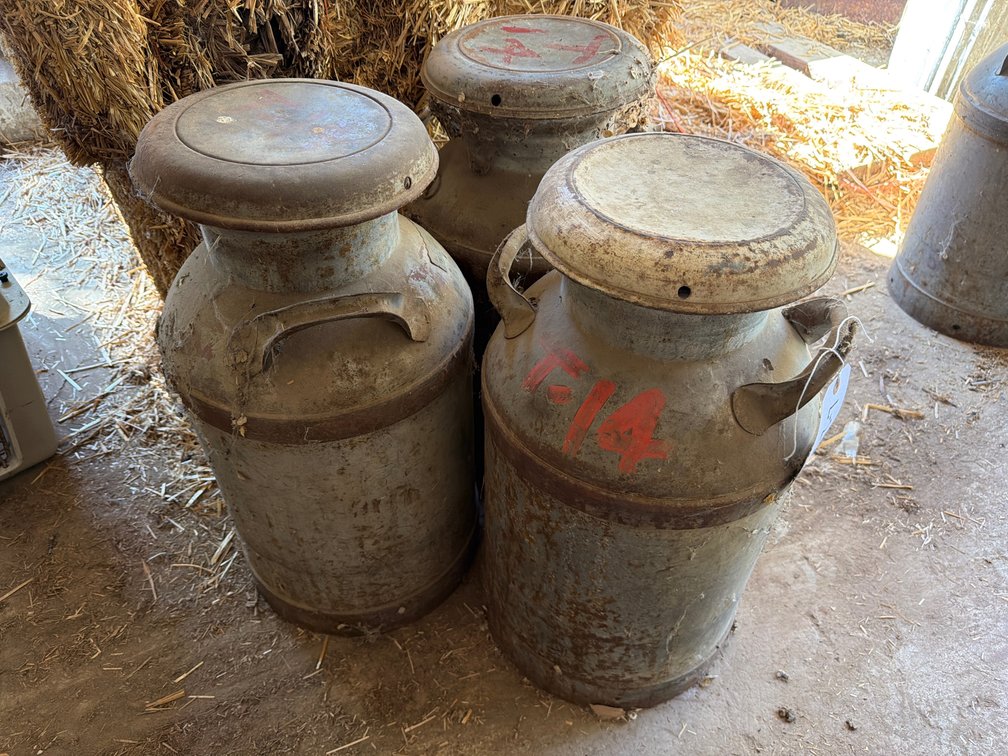 3- dome lid milk cans