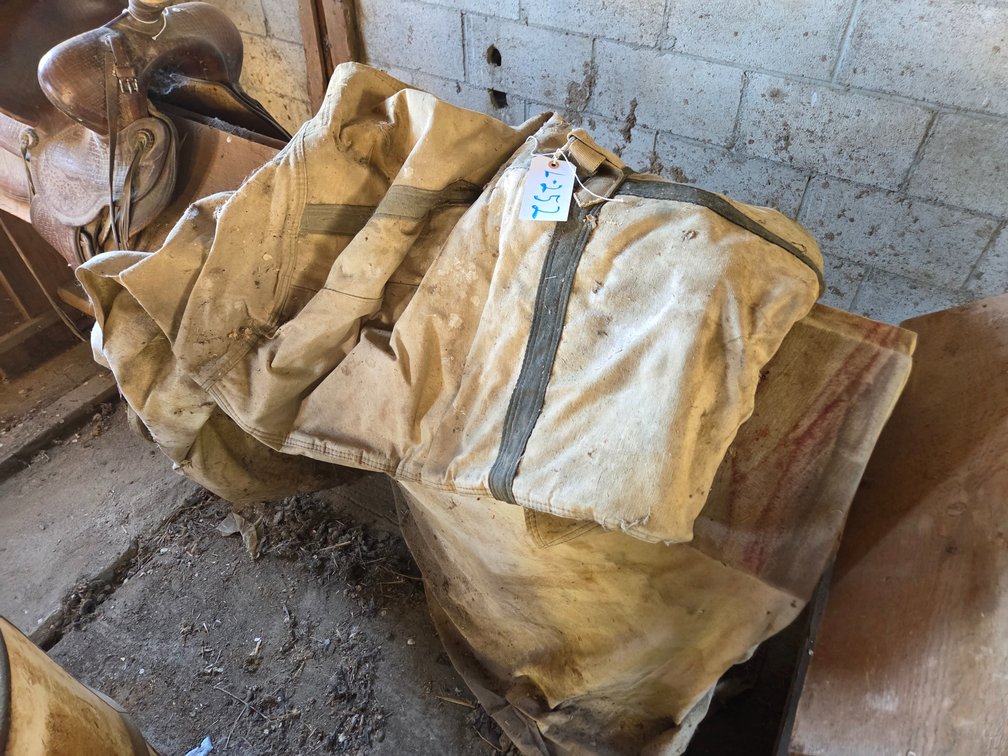 overnight horse blanket