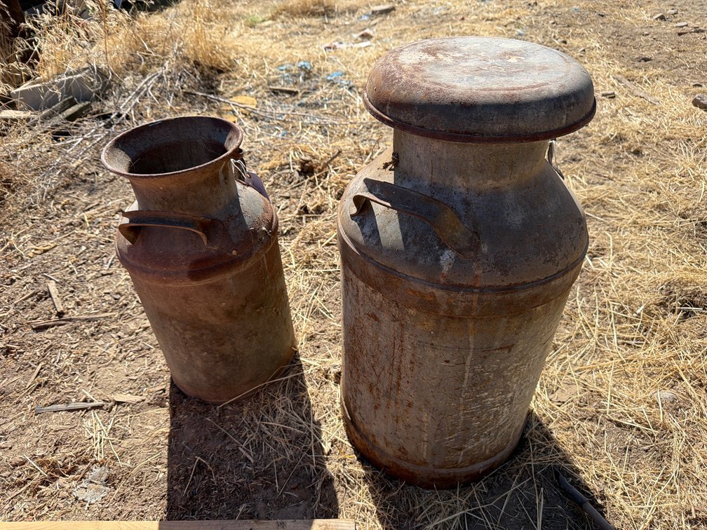 5 gallon milk can, dome lid milk can