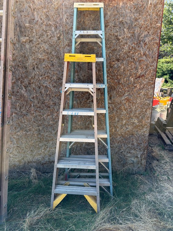 Werner 6' and 8' step ladders