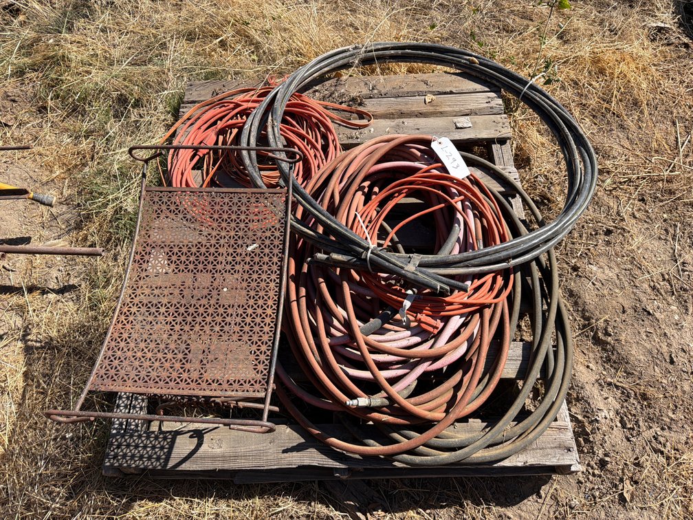shop iron, 3- file cabinets, garden hose, extension cords