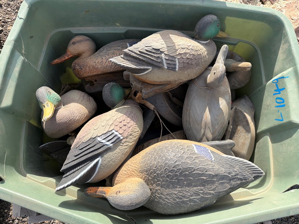 duck decoys