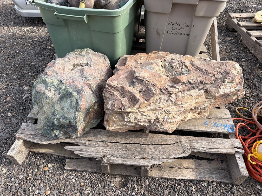 petrified wood