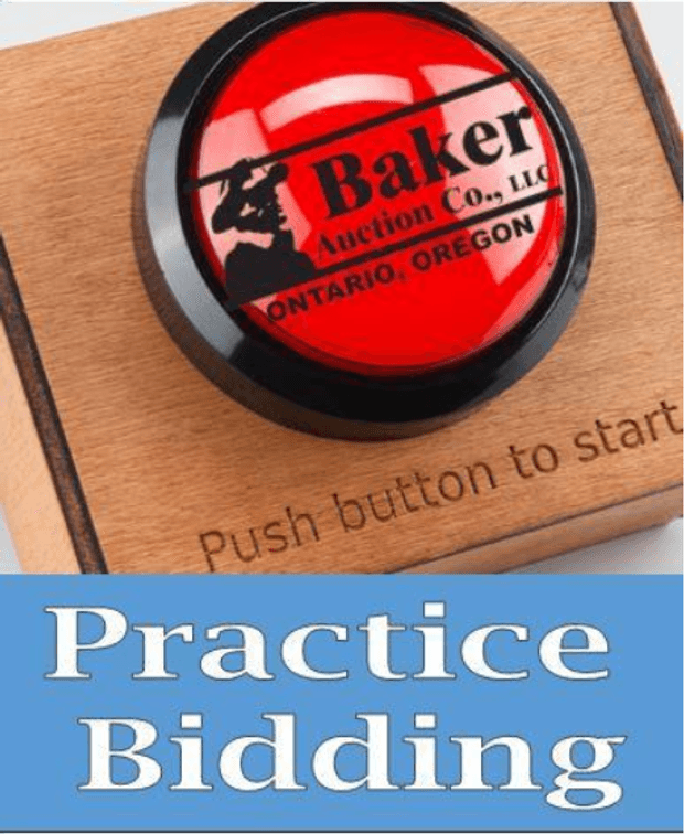 ***Use This Lot to Practice Bidding***