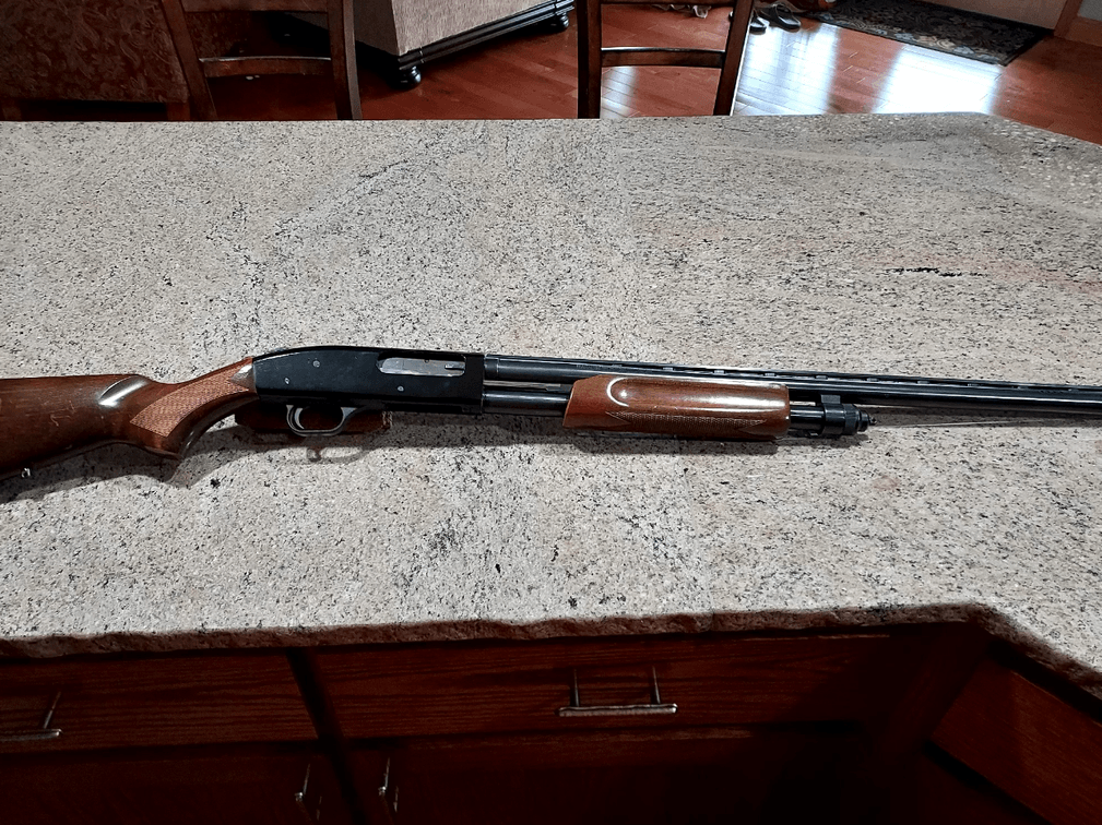 Image for Langston Farm Auction
