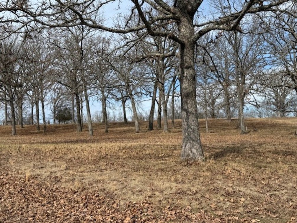 Image for Smith Real Estate Auction