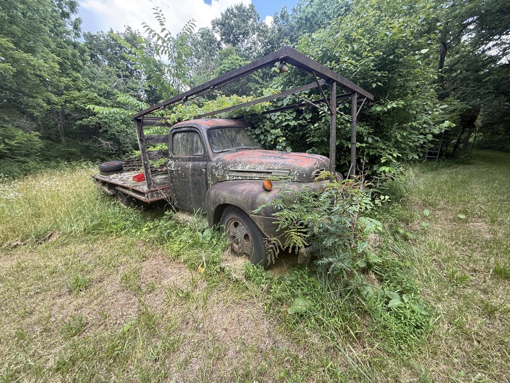 Image for 75 Year Lifetime Accumulation Auction