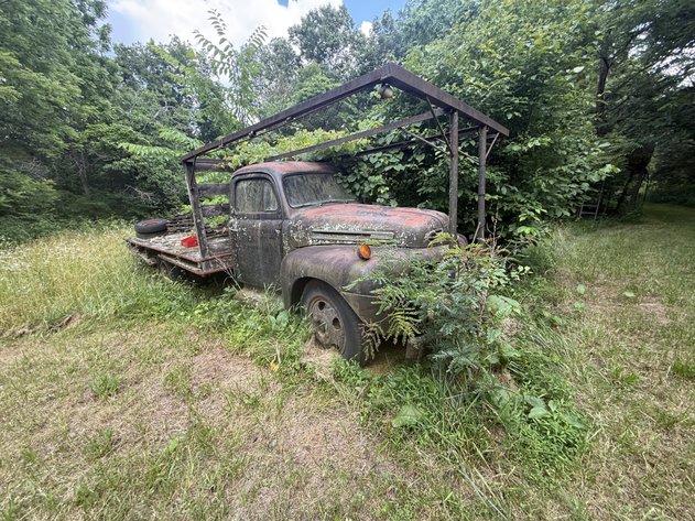 Image for 75 Year Lifetime Accumulation Auction