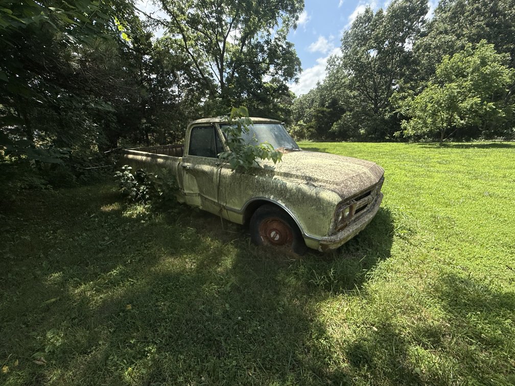 Image for 75 Year Lifetime Accumulation Auction