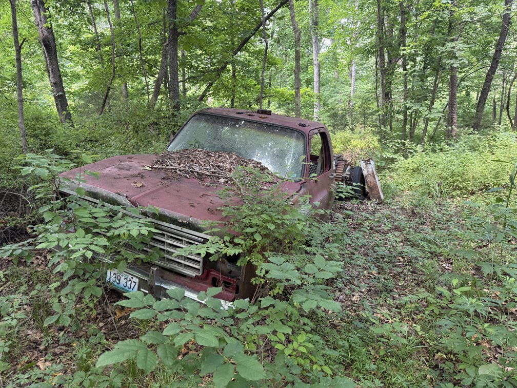 Image for 75 Year Lifetime Accumulation Auction