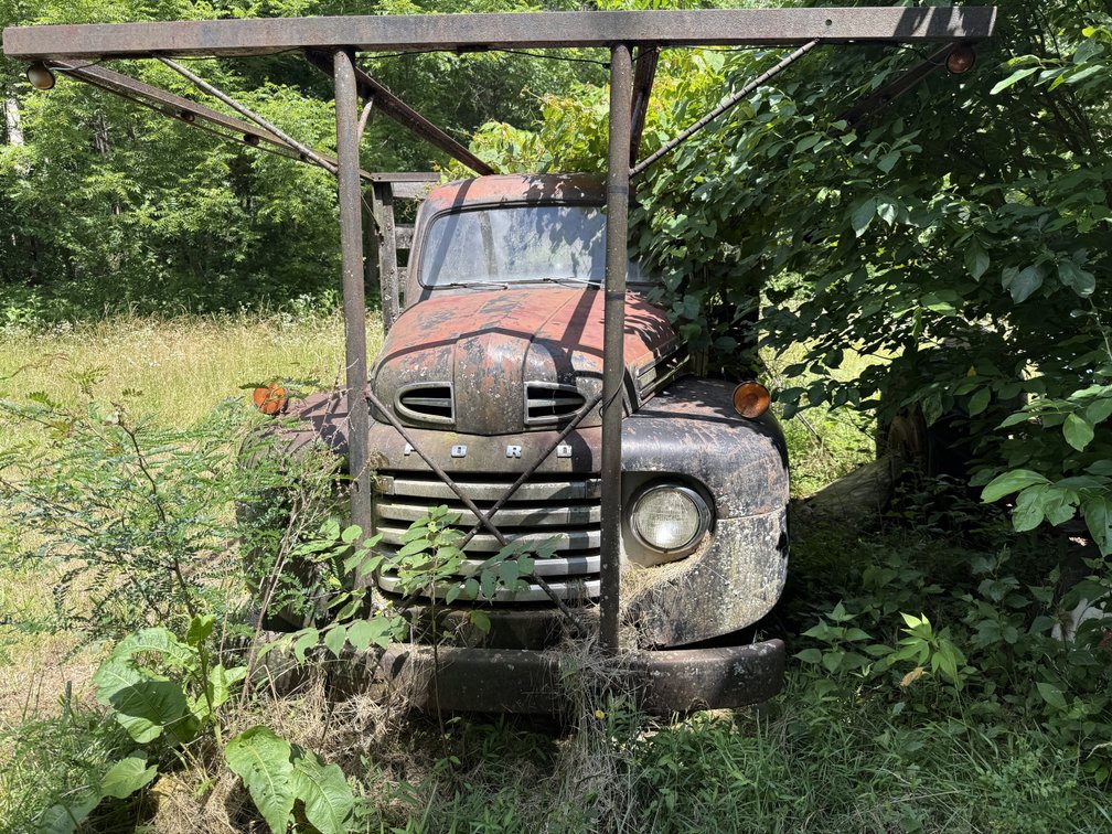 Image for 75 Year Lifetime Accumulation Auction