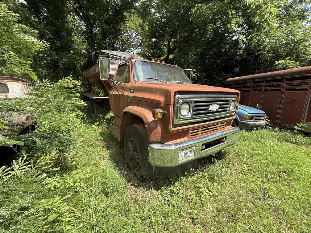 Image for 75 Year Lifetime Accumulation Auction